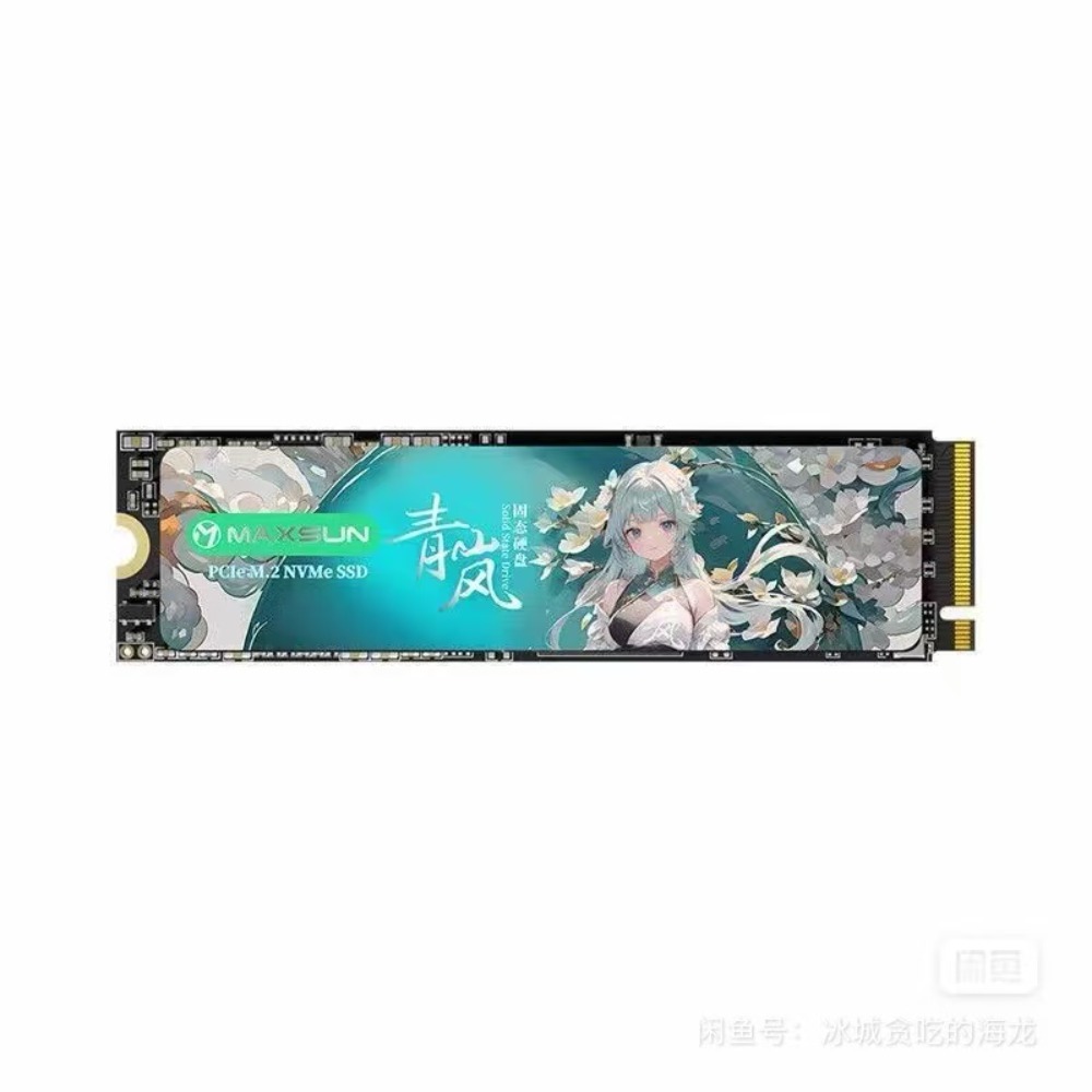 Minisun Qinglan NM300A 512GB S - Nvme Ssd ulasan dan harga